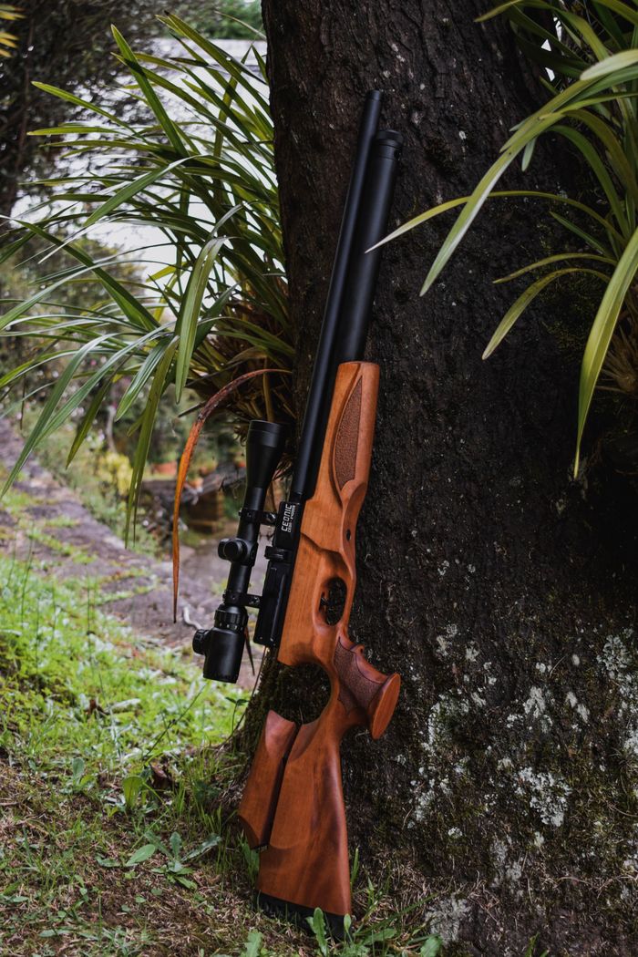 A detailed view of a wooden rifle set against a tree in a lush outdoor setting.